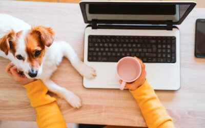 Comment configurer le bureau à la maison idéal